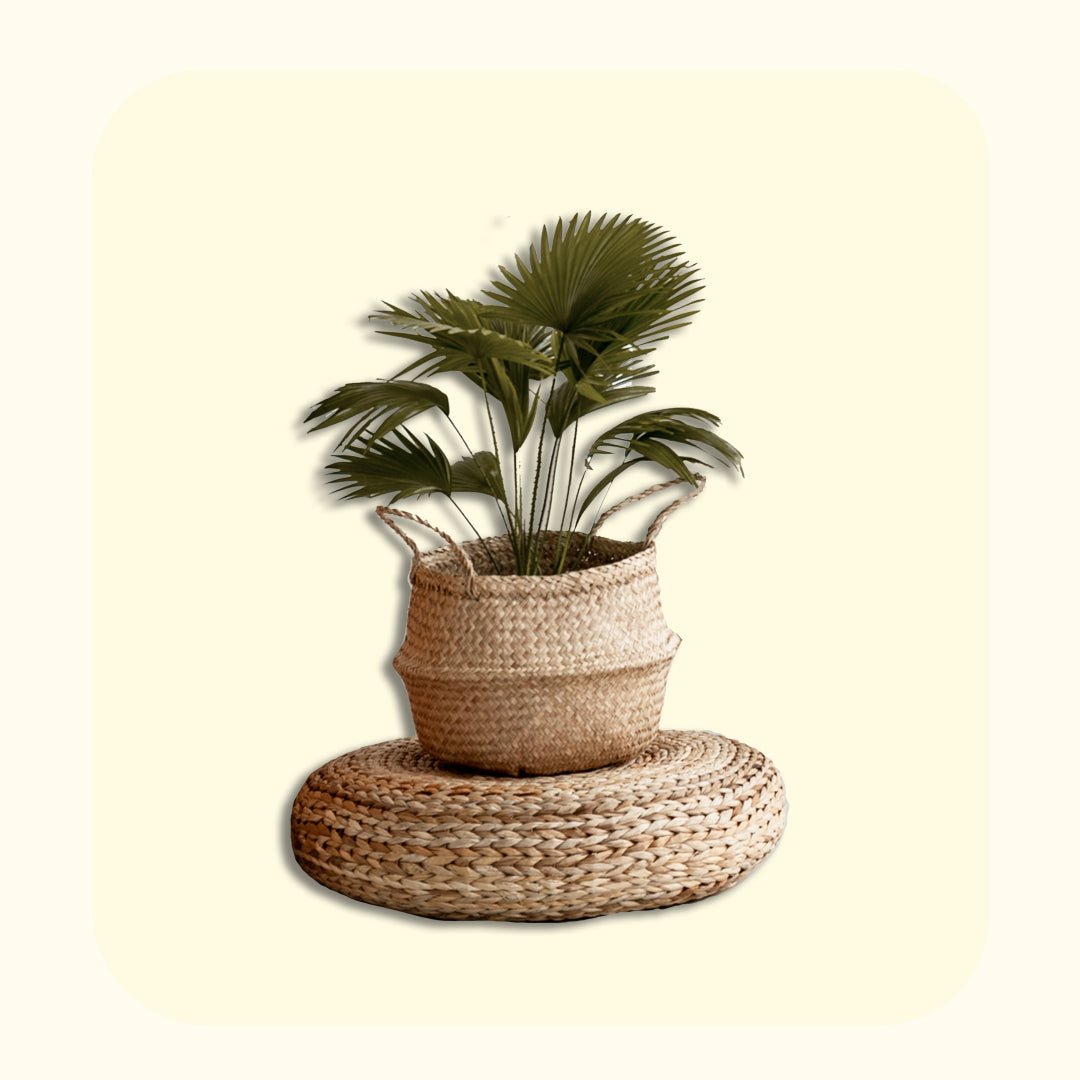 Decorative accents - Vitrine Furniture