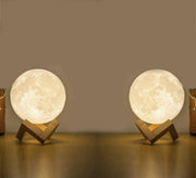 2 spherical lamps with wooden base - Vitrine Furniture - Lighting