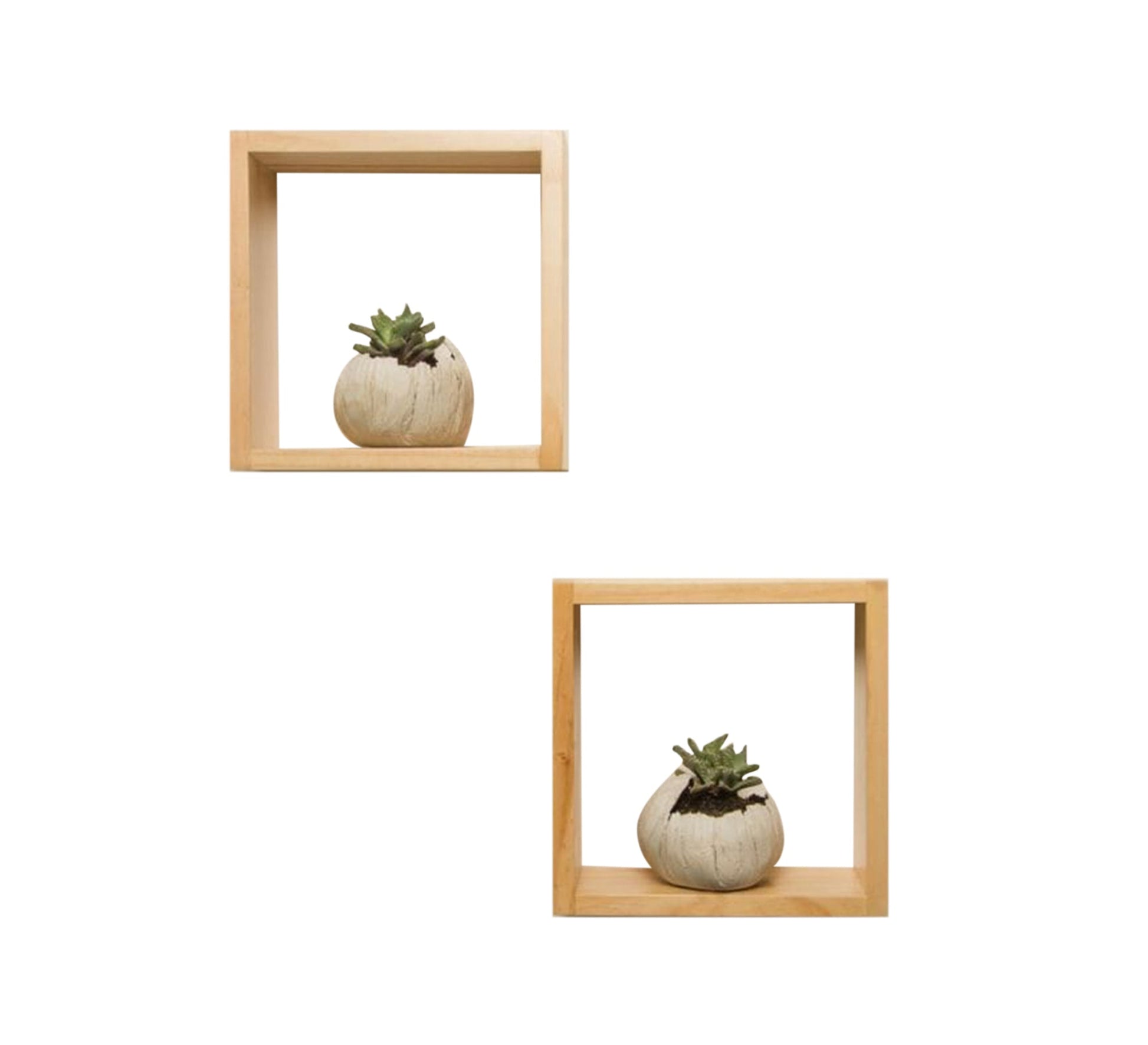 2 wall shelves made of Musky wood - Vitrine Furniture - Furniture