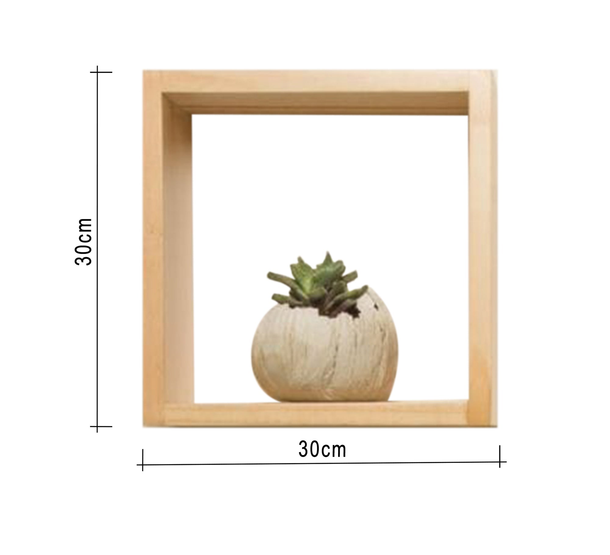 2 wall shelves made of Musky wood - Vitrine Furniture - Furniture