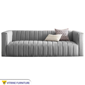 Gray sofa for living