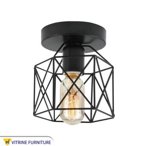 Chandelier cage hollow oval bulb