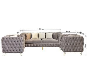 Fully capotain grey living room with golden legs