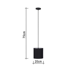 Black pendant lighting unit