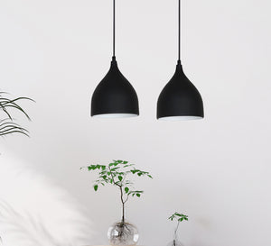 Black Dual ceiling lighting unit