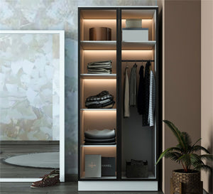 Double-door glass wardrobe