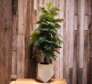 Artificial plantings for corners of your home