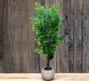 Acrylic pot for artificial trees