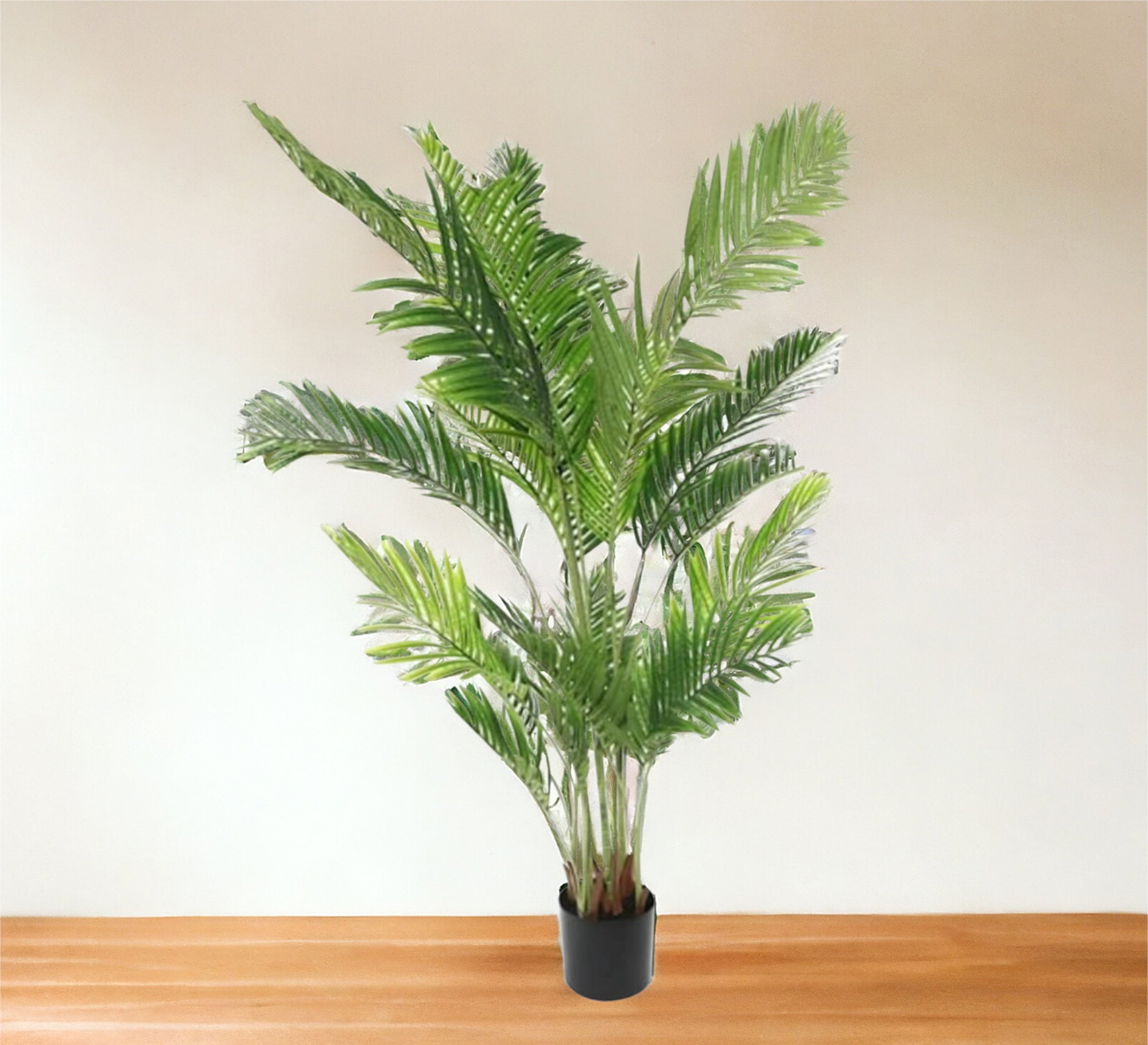 A plant pot for the areca palm known as the golden cane