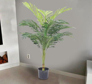 A pot for an areca plant with split leaves