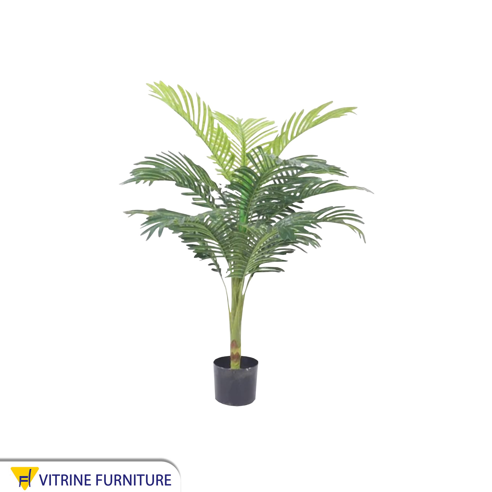 A pot for an areca plant with split leaves
