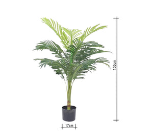 A pot for an areca plant with split leaves