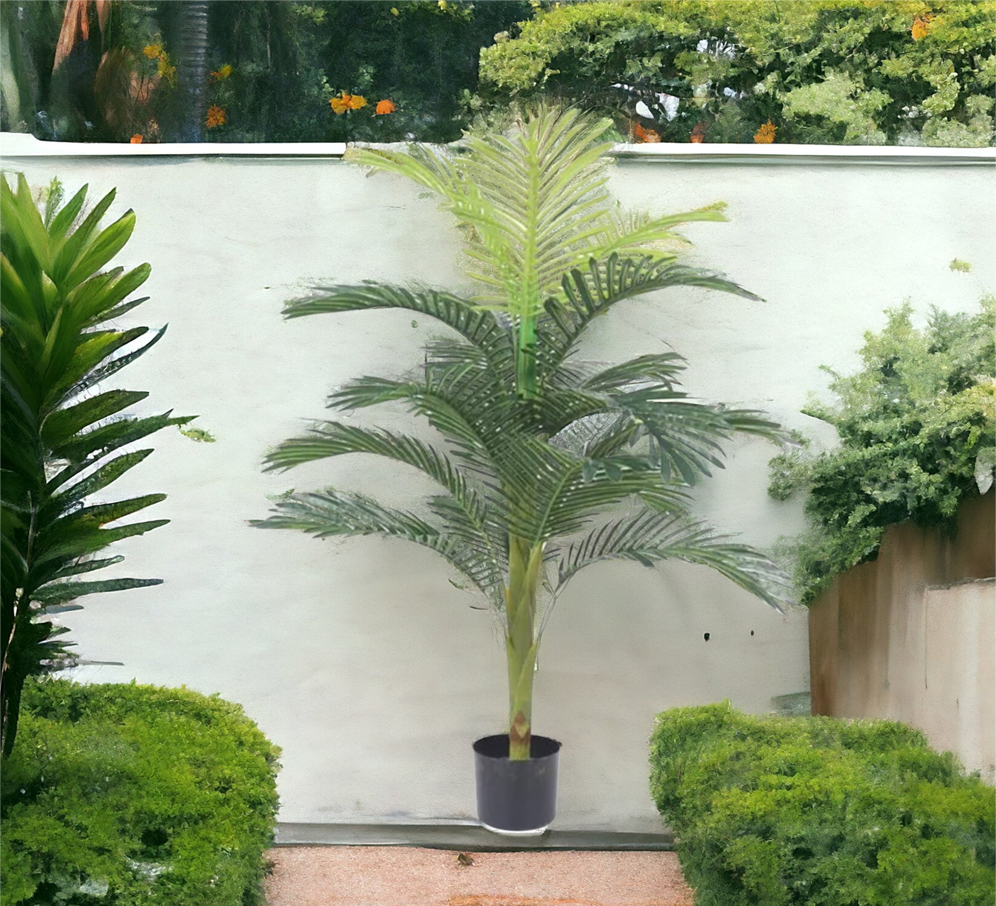 Black circular pot for areca palm