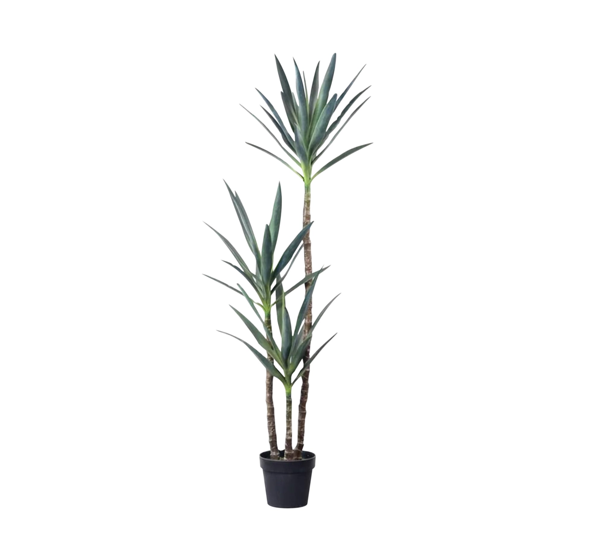 Artificial pot for yucca plant