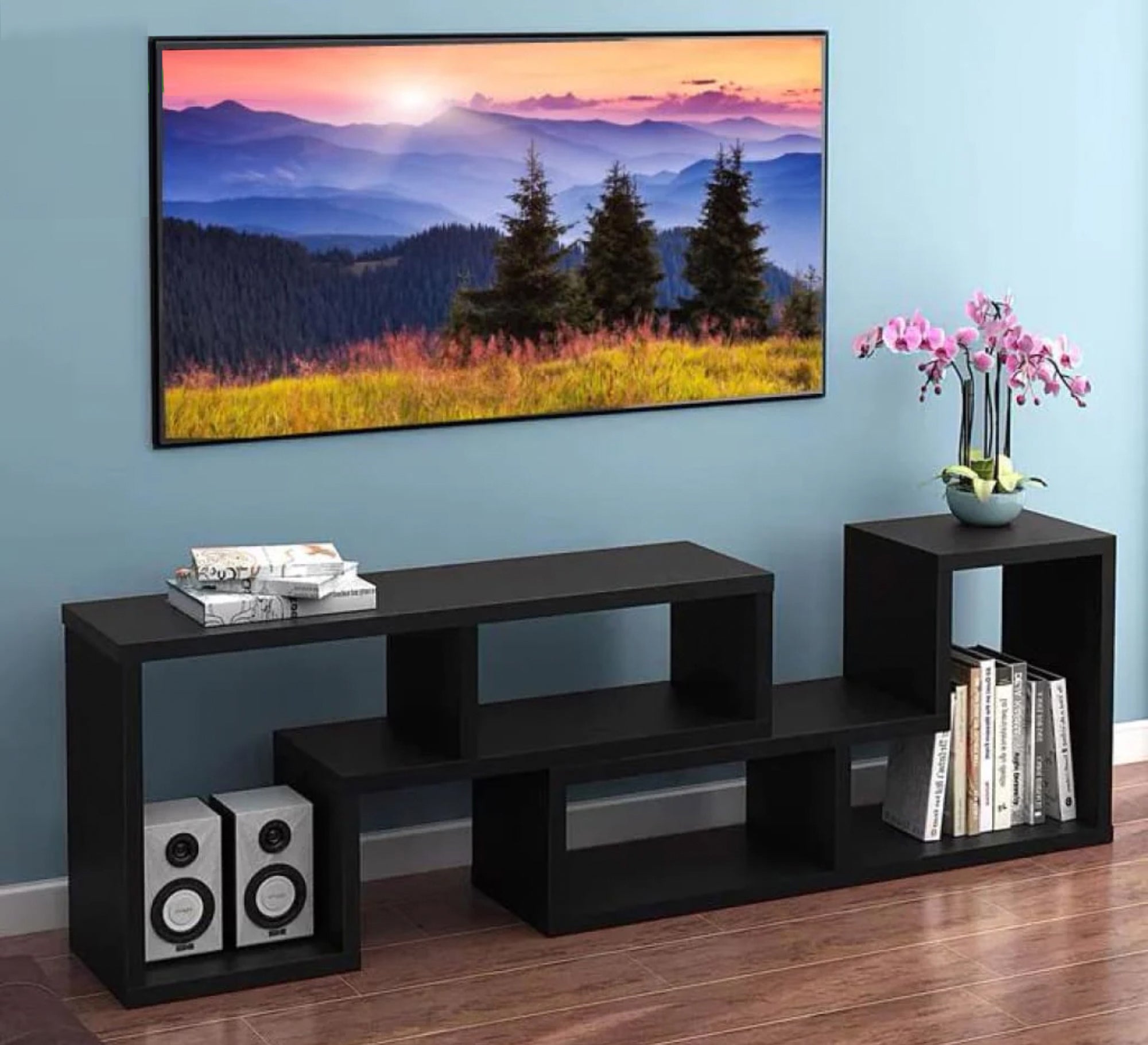 Black TV Unit: Sleek, Modern, Durable