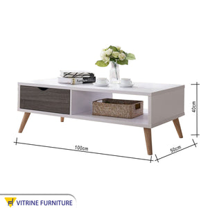 White center table with grey wood