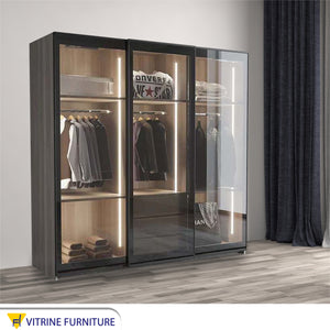 Elegant Black Wood Cupboard in Chic Design, Reflective Glass