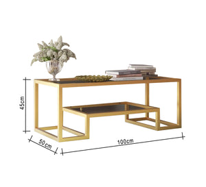 Center table with two tiered surfaces