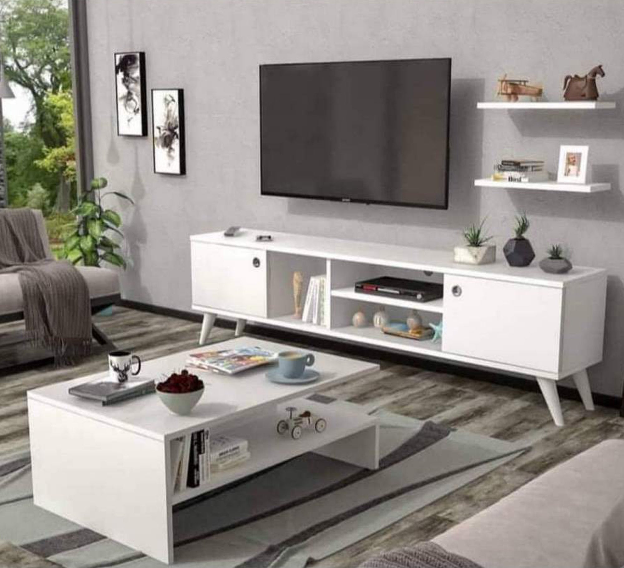 TV library with coffee table