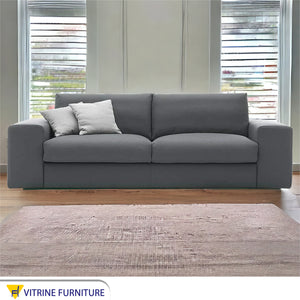 Grey sofa with two seats