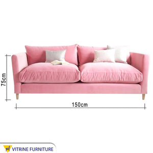 Double pink sofa