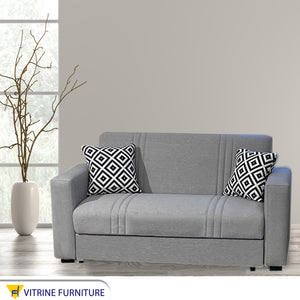 Two-Chair Sofa: Stylish & Comfortable in Gray