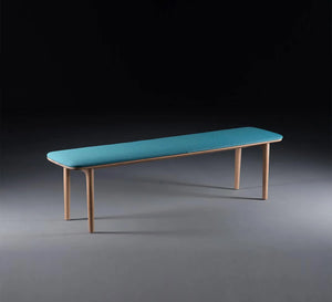 Elegand and modern Bench