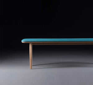 Elegand and modern Bench