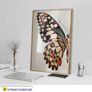 Golden-Framed Butterfly Tableau - Elegant Art