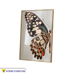 Golden-Framed Butterfly Tableau - Elegant Art