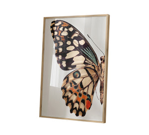 Golden-Framed Butterfly Tableau - Elegant Art