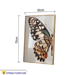 Golden-Framed Butterfly Tableau - Elegant Art