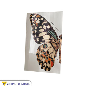 Wall painting of a large butterfly