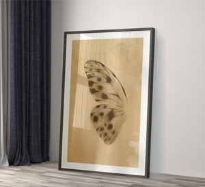 Frame of a butterfly wing with a black frame