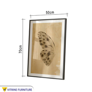 Frame of a butterfly wing with a black frame