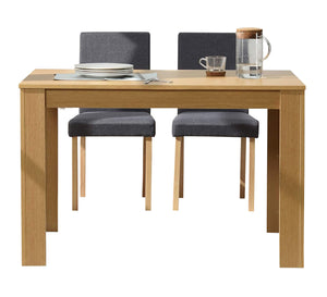 Modern dining table with 4 chairs