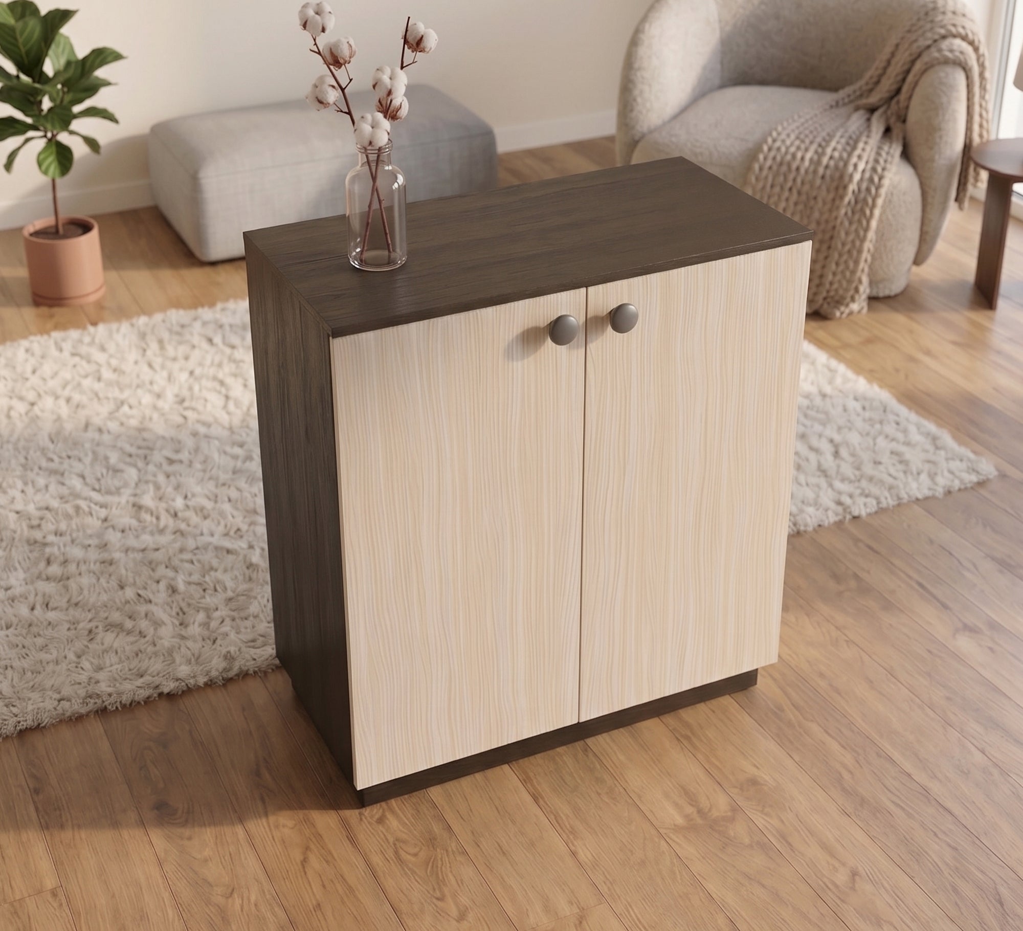 Elegant double-door shoe rack