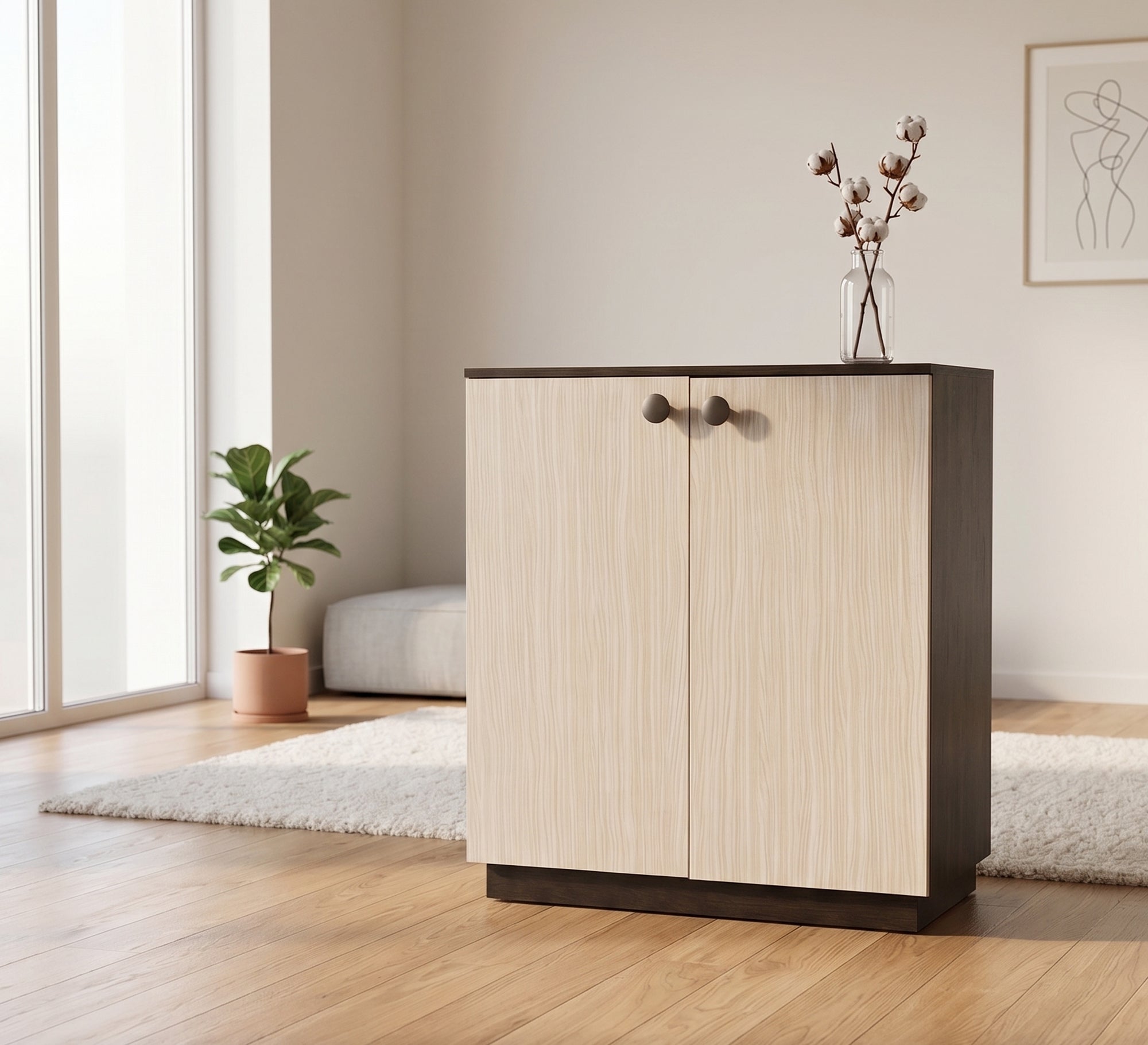 Elegant double-door shoe rack