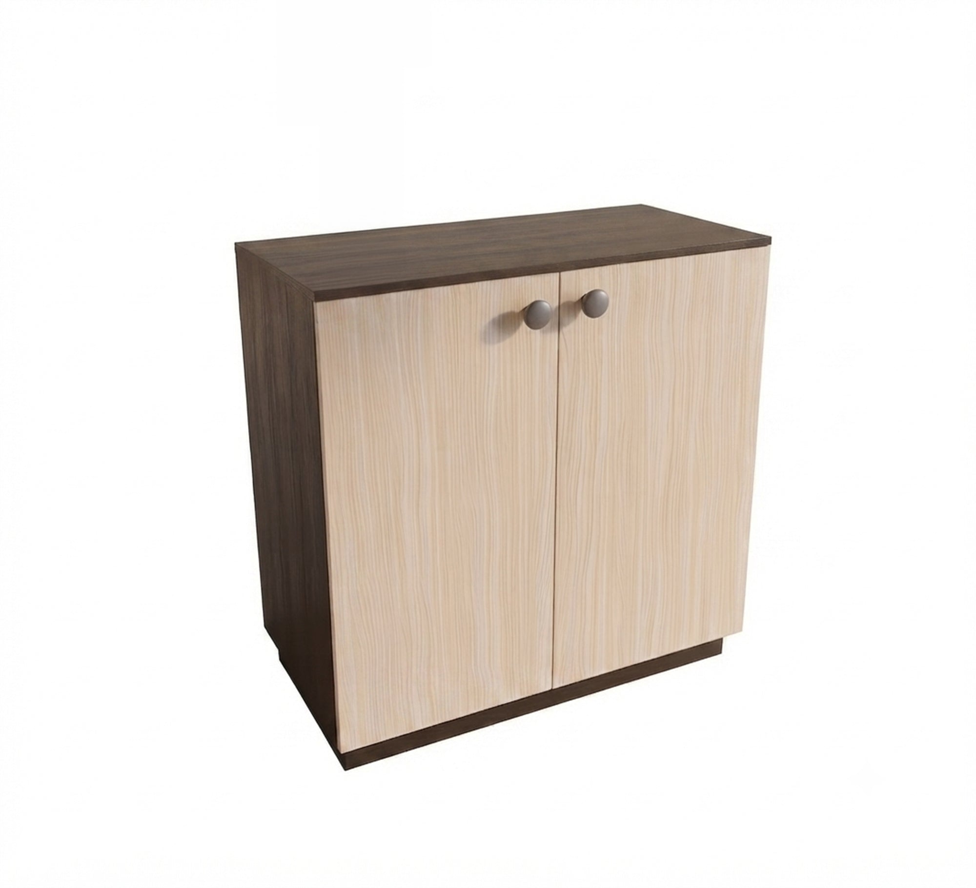 Elegant double-door shoe rack