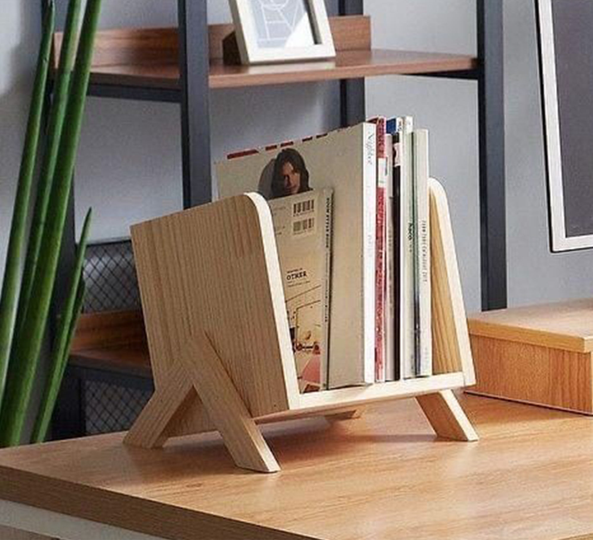 Wooden Decorative Book Organizer