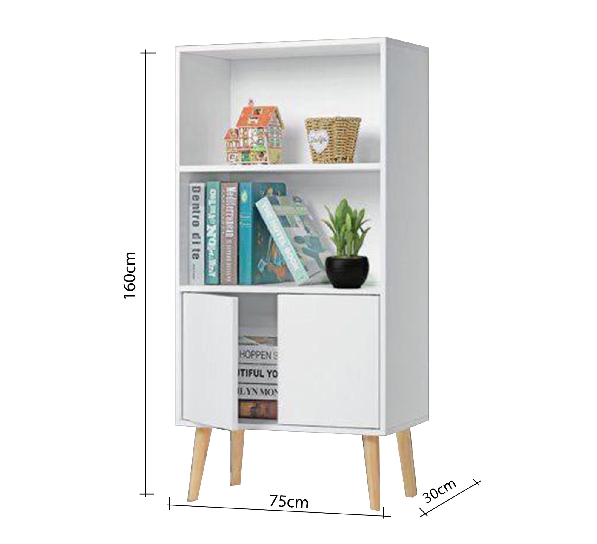 A bookcase with two lower doors - Vitrine Furniture - Furniture