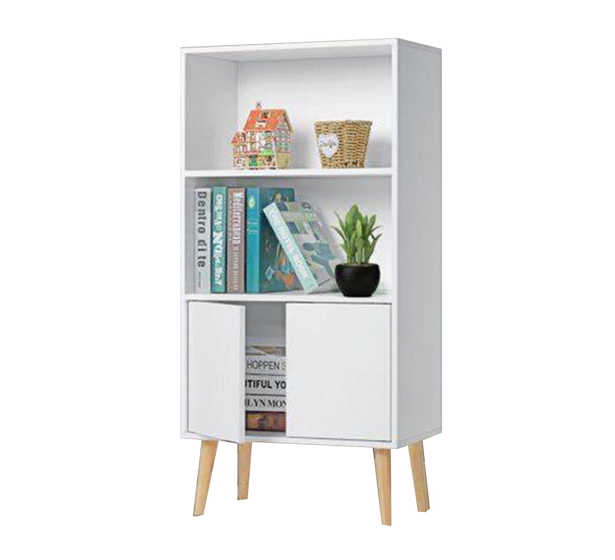 A bookcase with two lower doors - Vitrine Furniture - Furniture