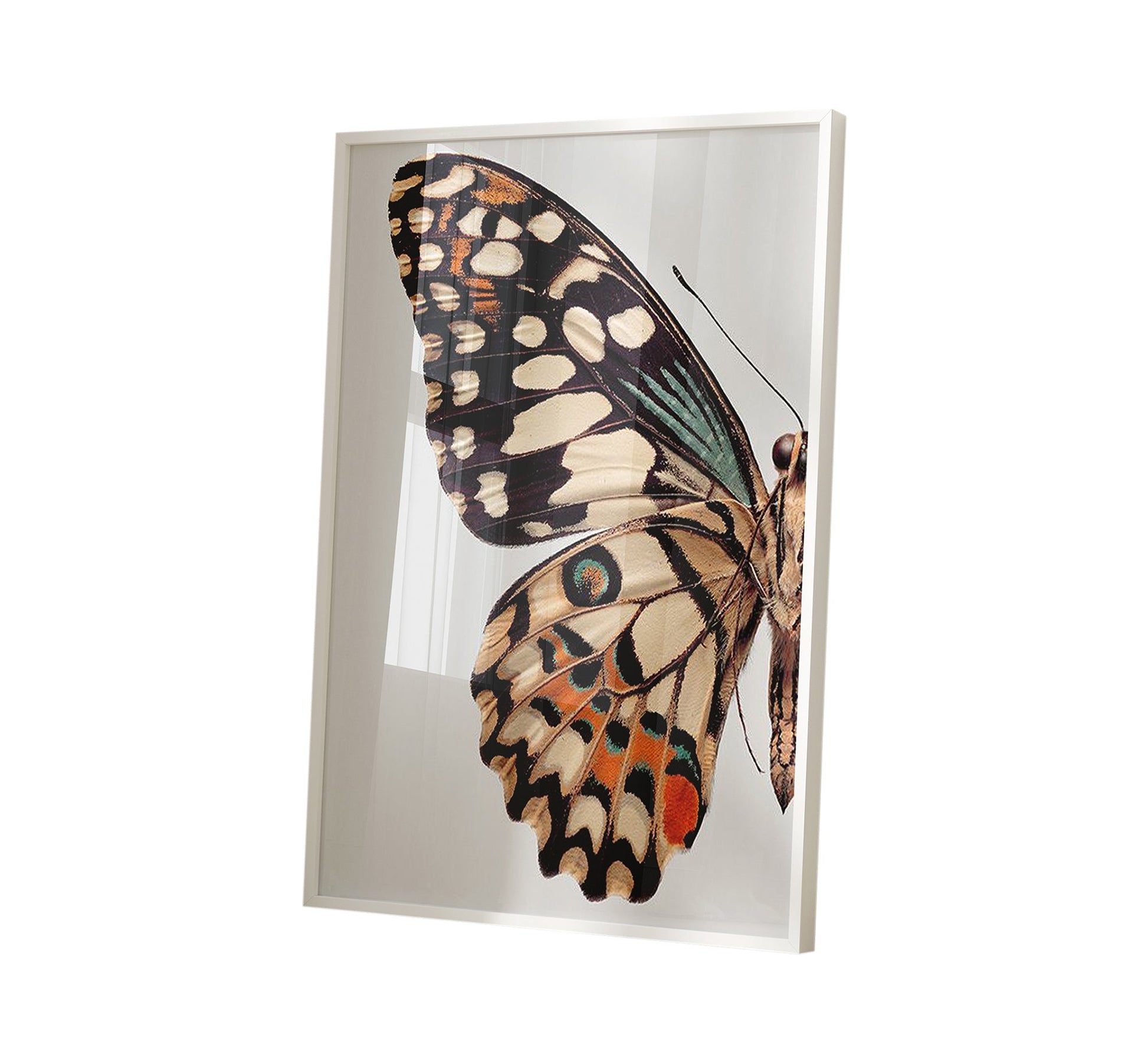 A painting of a butterfly wing with its details - Vitrine Furniture - Décor