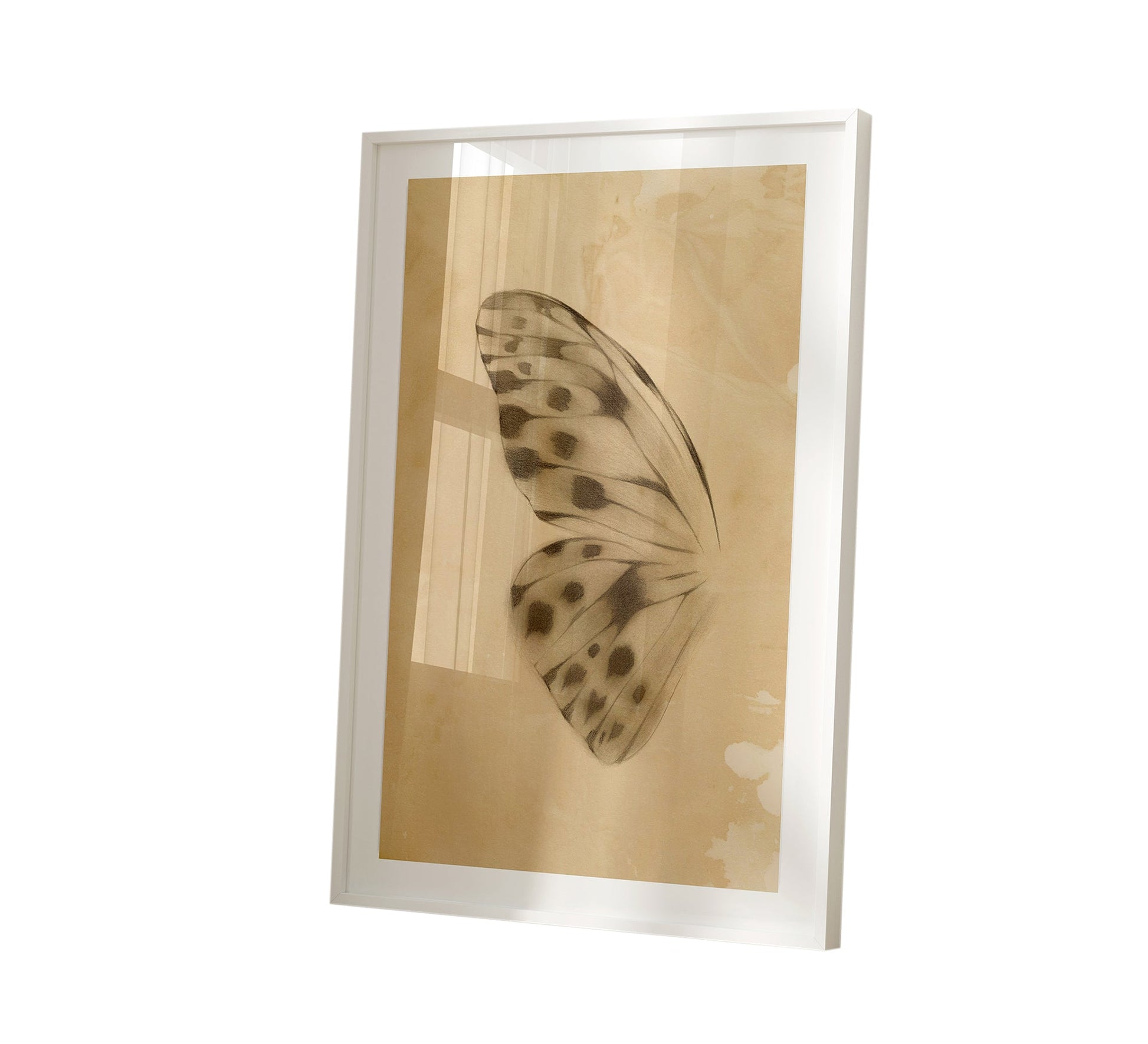 A painting of a small butterfly's wing - Vitrine Furniture - Décor