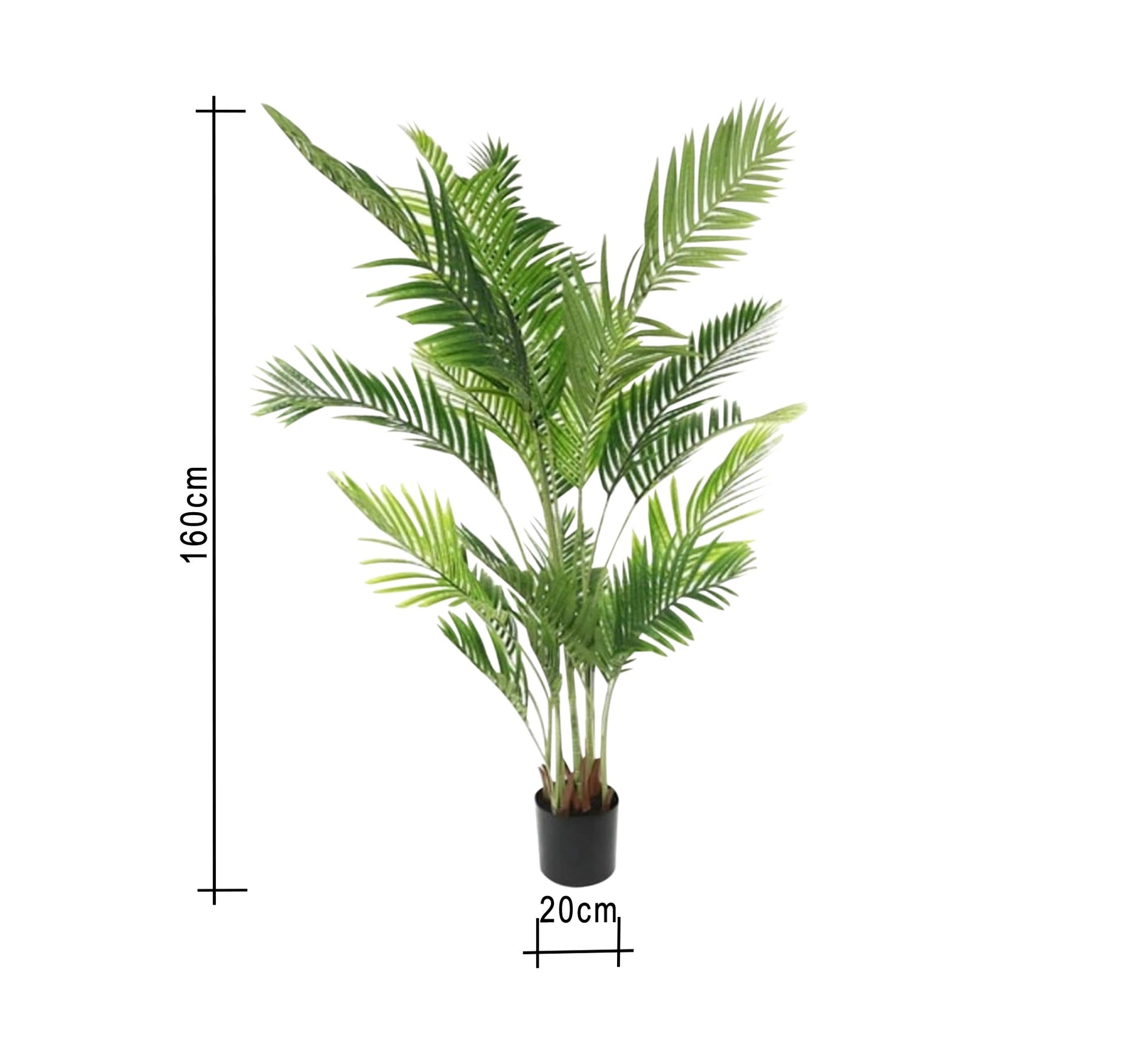 A plant pot for the areca palm known as the golden cane - Vitrine Furniture - Décor