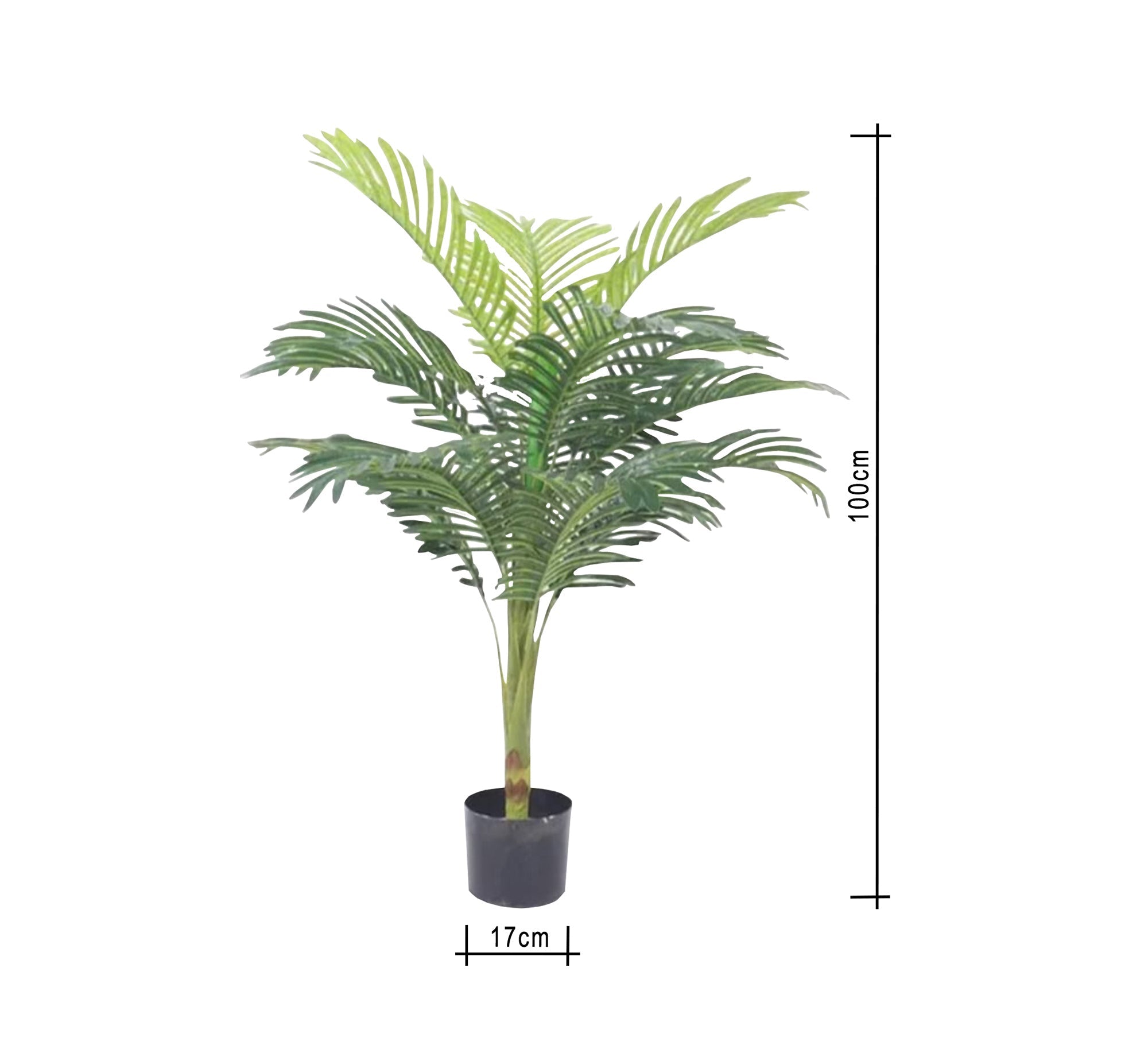 A pot for an areca plant with split leaves - Vitrine Furniture - Décor