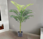 A pot for an areca plant with split leaves - Vitrine Furniture - Décor
