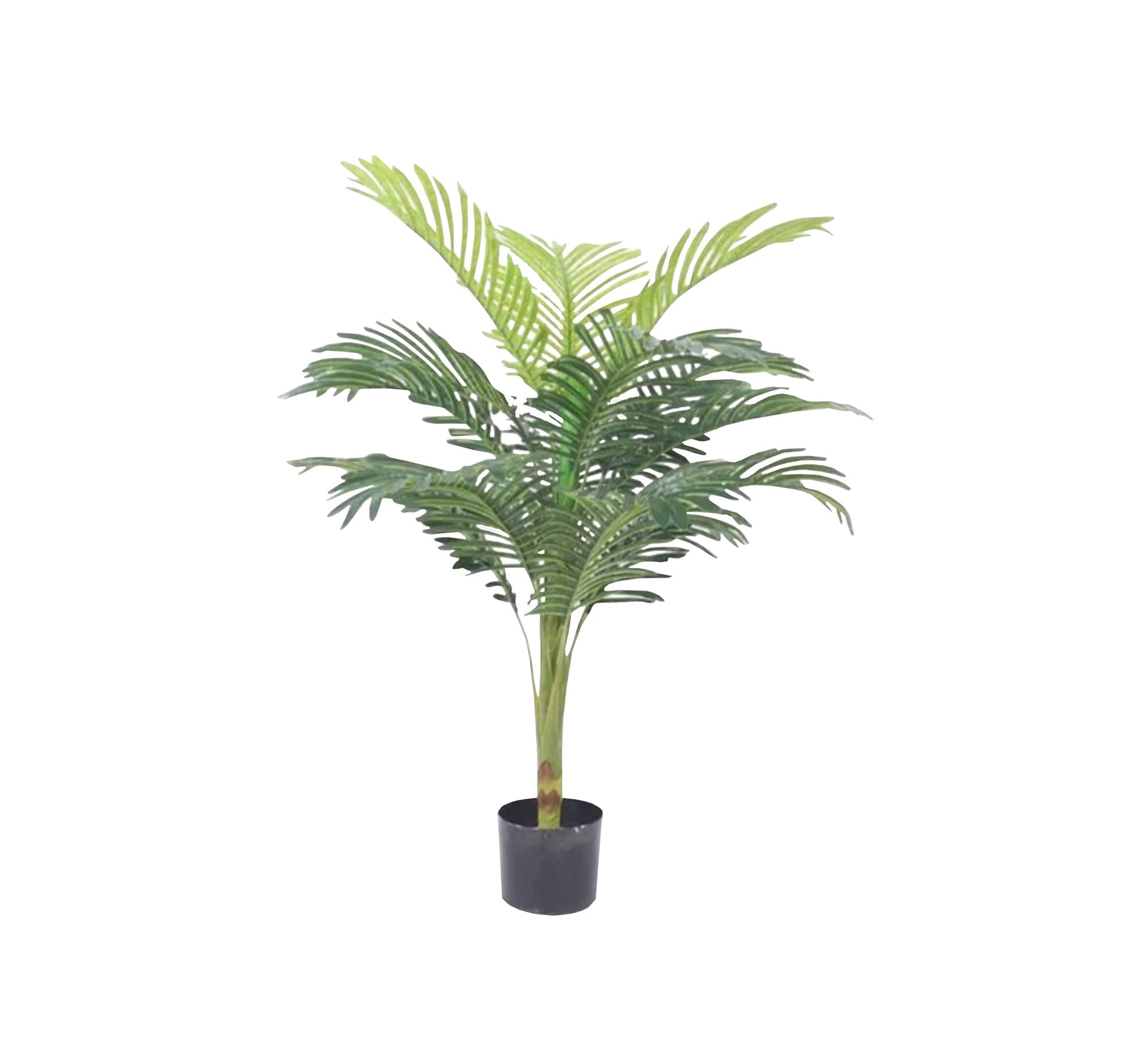 A pot for an areca plant with split leaves - Vitrine Furniture - Décor