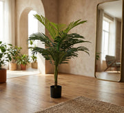 A pot for an areca plant with split leaves - Vitrine Furniture - Pots & Plants