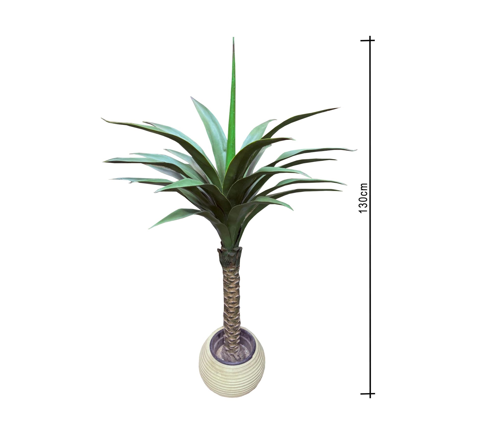 A pot for Asian palm plant - Vitrine Furniture - Décor